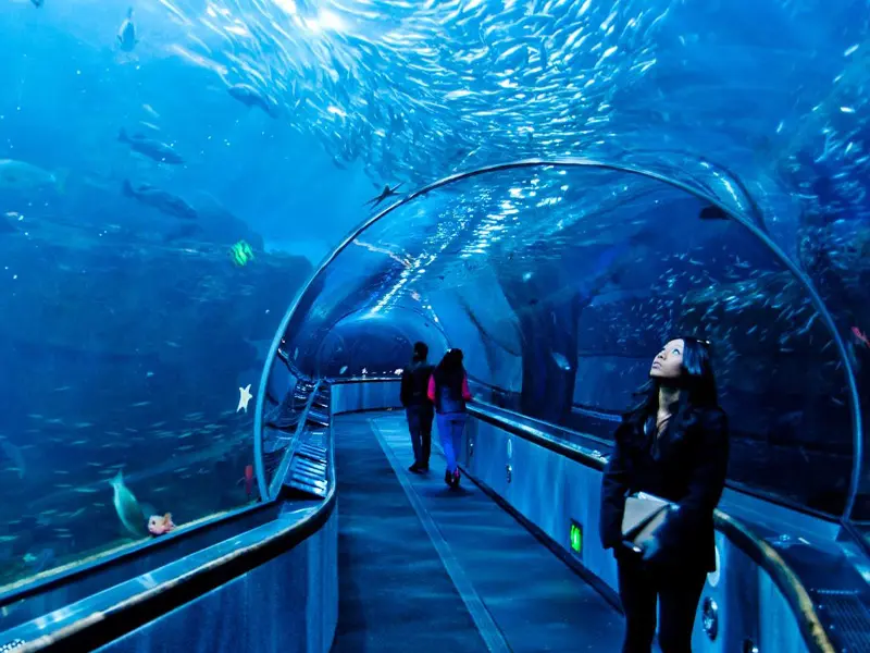 One of the World Largest Aquariums